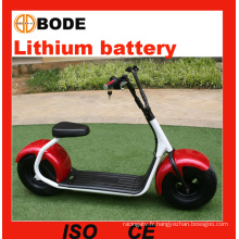 Nouveau Scooter électrique vélo électrique de 1000W avec batterie au Lithium